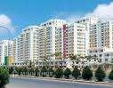 Hợp đồng chuyển nhượng quyền sử dụng đất ?