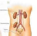 Có một chợ thận tại Việt Nam – Hành vi mua bán thận bị xử lý như thế nào ?