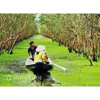 Tranh chấp hợp đồng mua bán: Mua nhầm vườn tràm “vịt trời”