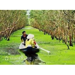Tranh chấp hợp đồng mua bán: Mua nhầm vườn tràm “vịt trời”