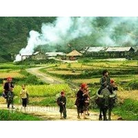 Thực trạng chính sách phát triển nông thôn hiện nay