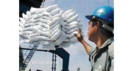 Bài học từ một hợp đồng nhập khẩu