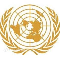 CEDAW và Pháp luật: Nghiên cứu rà soát văn bản pháp luật Việt Nam trên cơ sở giới và quyền qua lăng kính CEDAW