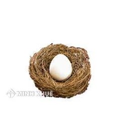 Con riêng có thể được thừa kế di sản của mẹ kế ? Quyền được nhận di sản thừa kế ? 