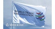 Cơ chế giải quyết tranh chấp của WTO nhìn từ góc độ các nước đang phát triển