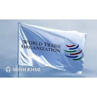 Cơ chế giải quyết tranh chấp của WTO nhìn từ góc độ các nước đang phát triển