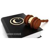 Mẫu hợp đồng chuyển nhượng vốn