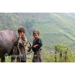 Chính sách xã hội trong nền kinh tế thị trường