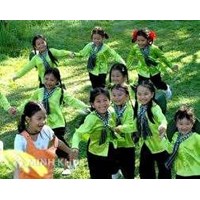 Dân số Việt Nam qua các thời kỳ