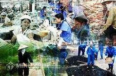Về tính khả thi của những quy định ưu tiên đối với lao động nữ