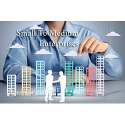 Resolution No. 22/NQ-CP of May 5, 2010,on implementation of the Government's Decree No. 56/2009/ ND-CP of June 30,2009, on support for the development of small- and medium-sized enterprises