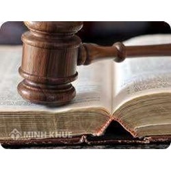 Mô hình công ty mẹ, công ty con