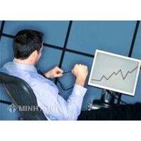 Khảo sát việc tuân thủ các quy định về định giá chuyển nhượng của các doanh nghiệp có vốn đầu tư nước ngoài tại Việt Nam