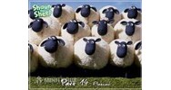 Trách nhiệm bồi thường do súc vật gây thiệt hại: Chó cắn người, bồi thường sợ…thiệt