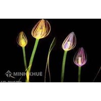 Trách nhiệm bồi thường nhà nước: Thừa nhận sai trái lại né bồi thường ?