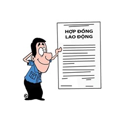 Hợp đồng lao động bằng tiếng anh - The Labor Contract
