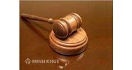 Dịch vụ cung cấp văn bản pháp luật Việt Nam (Tiếng Việt & Tiếng Anh)