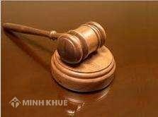Dịch vụ cung cấp văn bản pháp luật Việt Nam (Tiếng Việt & Tiếng Anh)