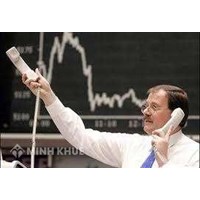 Hoạt động ngoại thương Việt Nam sau khi gia nhập WTO ? Cần cải cách gì sau khi gia nhập WTO