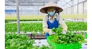 Mẫu hồ sơ thay đổi nội dung đăng ký kinh doanh Hợp tác xã ? Thủ tục đăng ký thay đổi giấy phép hợp tác xã ?