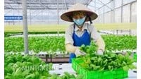 Mẫu hồ sơ thay đổi nội dung đăng ký kinh doanh Hợp tác xã