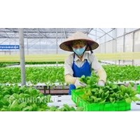 Mẫu hồ sơ thay đổi nội dung đăng ký kinh doanh Hợp tác xã ? Thủ tục đăng ký thay đổi giấy phép hợp tác xã ?