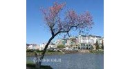 Văn hóa pháp luật của phóng viên báo chí: Thực trạng và giải pháp