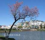 Văn hóa pháp luật của phóng viên báo chí: Thực trạng và giải pháp