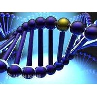 TRANSLATION OF TECHNOLOGICAL DOCUMENTS: