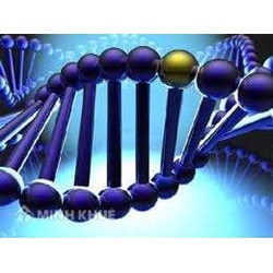 TRANSLATION OF TECHNOLOGICAL DOCUMENTS: