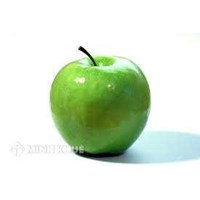 Khái niệm về các đối tượng Sở hữu trí tuệ
