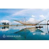 Vai trò của nhà nước trong việc quản lý đất đai theo luật