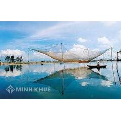 Vai trò của nhà nước trong việc quản lý đất đai theo luật
