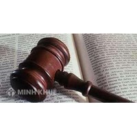 Một số điều chỉnh chủ yếu trong quan hệ sở hữu ở Việt Nam: Thực trạng và vấn đề