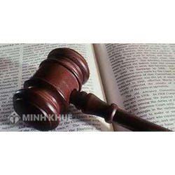 Một số điều chỉnh chủ yếu trong quan hệ sở hữu ở Việt Nam: Thực trạng và vấn đề