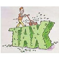 Nên hay không nên thừa nhận công ty TNHH Một thành viên là cá nhân ở Việt Nam