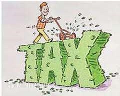 Nên hay không nên thừa nhận công ty TNHH Một thành viên là cá nhân ở Việt Nam