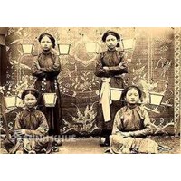 Nền kinh tế tế bào: Quan điểm phát triển mới