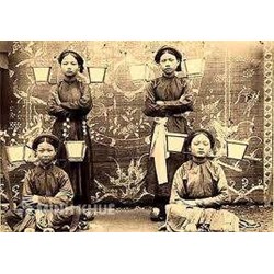 Nền kinh tế tế bào: Quan điểm phát triển mới