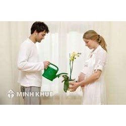 Phụ nữ là gì? Sự khác biệt cơ bản giữa phụ nữ là con gái?