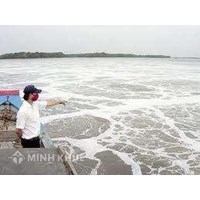 Một số vướng mắc về tiếp nhận, bảo quản và xử lý vật chứng, tài sản trong thi hành án dân sự