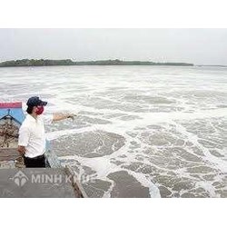 Một số vướng mắc về tiếp nhận, bảo quản và xử lý vật chứng, tài sản trong thi hành án dân sự
