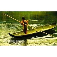 Nhà nước cầm lái, không nên cầm chèo