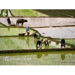 Công hữu đất đai không hợp thời với quá độ
