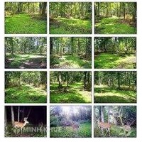 Quản lý đất đai: “chống”và “trống”