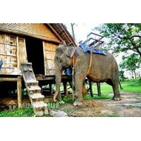 Sử dụng luật tục, hương ước một chiến lược quản lý rừng