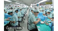 Thực thi pháp luật đối với lao động nữ - Vẵn chưa thực hiện nghiêm túc