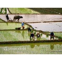 Tìm hiểu 418 Bộ luật tố tụng dân sự năm 2004
