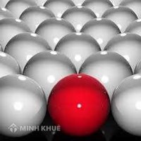 Vấn đề vi hiến và cơ chế bảo hiến trong Luật Việt Nam