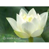 Chủ doanh nghiệp tư nhân có được cho thuê hoặc bán doanh nghiệp của mình không? Nếu có thì phải làm thủ tục gì?